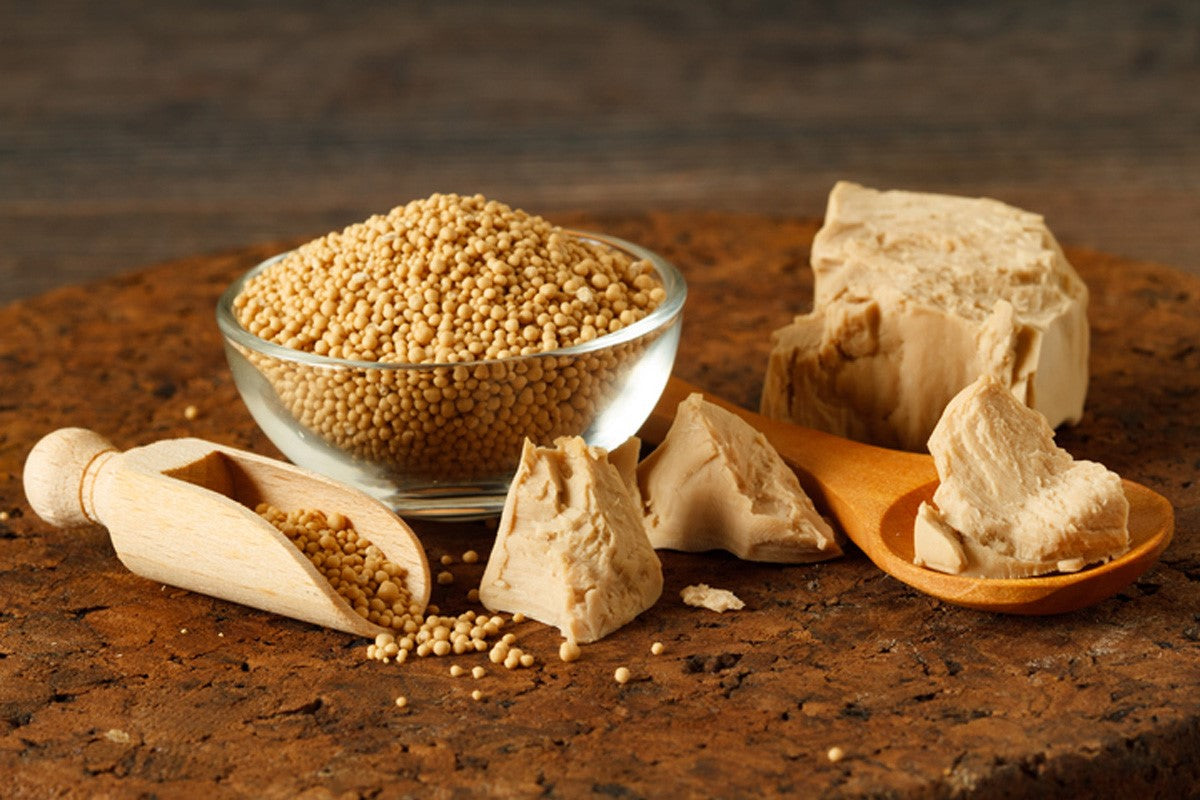 The Benefits Of Yeast Extract In Skin Hydration